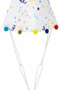 Frisco Confetti Dog & Cat Birthday Hat -The Frisco Store 191274 PT4. SY630 V1582053256