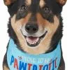 Frisco Pawtriot Dog & Cat Bandana -The Frisco Store 191277 Main. SY630 V1584623866
