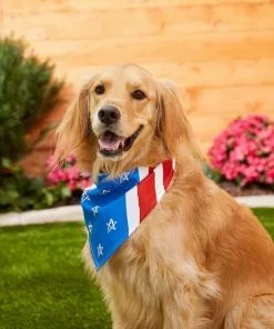 Frisco Stars & Stripes Dog & Cat Bandana -The Frisco Store 191288 PT4. SY630 V1632423083
