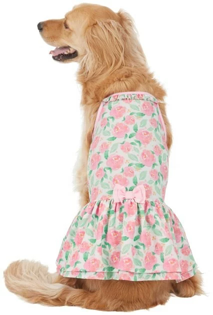 Frisco Pink Floral Dog & Cat Dress 5 Frisco Pink Floral Dog & Cat Dress - Image 3