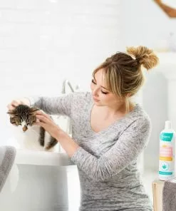 Frisco Shed Control Dog & Cat Conditioner, Sweet Nectar Scent -The Frisco Store 192072 PT4. SY630 V1589487678