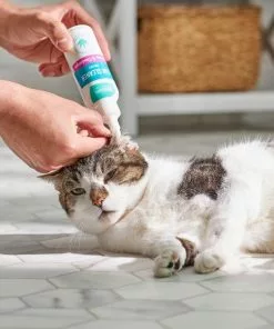 Frisco Cat Ear Cleaner -The Frisco Store 192094 PT4. SY630 V1589487657