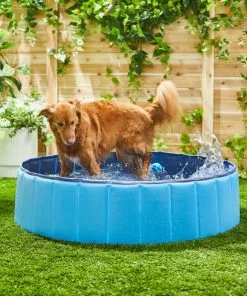 Frisco Outdoor Dog Swimming Pool