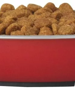 Frisco Heavy Duty Non-Skid Saucer Cat Bowl -The Frisco Store 204461 PT2. SY630 V1598449859