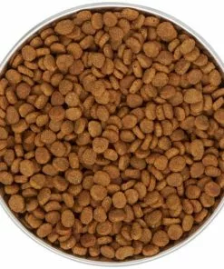 Frisco Heavy Duty Non-Skid Saucer Cat Bowl -The Frisco Store 204461 PT4. SY630 V1599240354