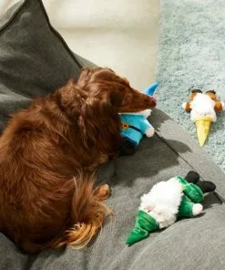 Frisco Mythical Mates Gnome Plush Squeaking Dog Toy -The Frisco Store 204507 PT2. SY630 V1583271319