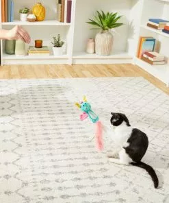 Frisco Mythical Mates Bouncy Dragon Teaser Crinkle Cat Toy with Catnip -The Frisco Store 204539 PT2. SY630 V1583271502