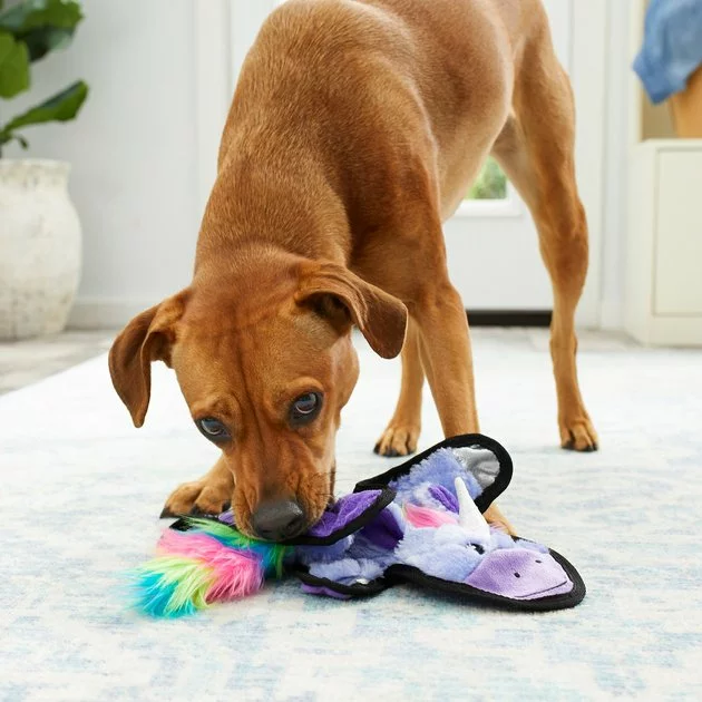 Frisco Mythical Mates Flat Plush Squeaking Unicorn Dog Toy 5 Frisco Mythical Mates Flat Plush Squeaking Unicorn Dog Toy - Image 3