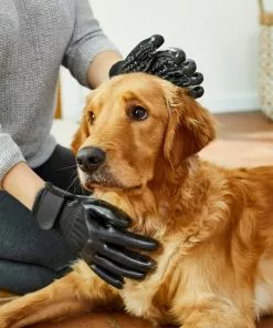 Frisco Dog & Cat Deshedding & Grooming Gloves, Black -The Frisco Store 206842 PT5. SY630 V1610766542