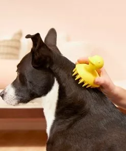 Frisco Rubber Duckie Dog & Cat Curry Brush -The Frisco Store 206849 PT7. SY630 V1600915945