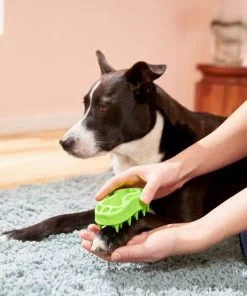 Frisco Bone Dog Curry Brush 7 Frisco Bone Dog Curry Brush -The Frisco Store 206851 PT8. SY630 V1600915961