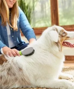 Frisco Cat & Dog Bristle Brush, One-Size -The Frisco Store 206859 PT8. SY630 V1600915880