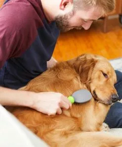 Frisco Cat & Dog Pin Brush, One-Size -The Frisco Store 206861 PT7. SY630 V1600915905