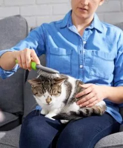 Frisco Cat & Dog Pin Brush, One-Size -The Frisco Store 206861 PT8. SY630 V1600915974