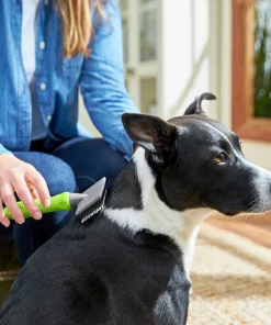 Frisco Soft Slicker Dog Brush, One Size -The Frisco Store 206869 PT8. SY630 V1600915932