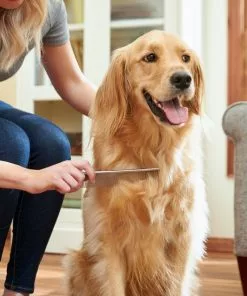 Frisco Metal Dog & Cat Comb 8 Frisco Metal Dog & Cat Comb -The Frisco Store 206882 PT7. SY630 V1600915920