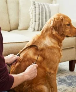 Frisco Shedding Blade Dog Brush, One Size 10 Frisco Shedding Blade Dog Brush, One Size -The Frisco Store 206895 PT7. SY630 V1600915940