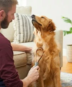 Frisco Shedding Blade Dog Brush, One Size 11 Frisco Shedding Blade Dog Brush, One Size -The Frisco Store 206895 PT8. SY630 V1600915985