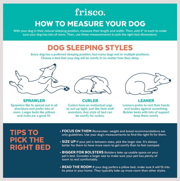 Frisco Cooling Orthopedic Pillow Dog Bed w/Removable Cover 6 Frisco Cooling Orthopedic Pillow Dog Bed w/Removable Cover - Image 4