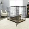Frisco XX-Large Heavy Duty Single Door Wire Dog Crate, 54 inch -The Frisco Store 210677 MAIN. SY630 V1598645766