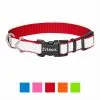 Frisco Solid Polyester Reflective Dog Collar