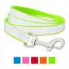 Frisco Solid Polyester Reflective Dog Leash 1 Frisco Solid Polyester Reflective Dog Leash -The Frisco Store 212812 MAIN. SY630 V1619049473