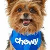 Frisco Chewy Dog & Cat Bandana -The Frisco Store 213165 Main. SY630 V1581964481
