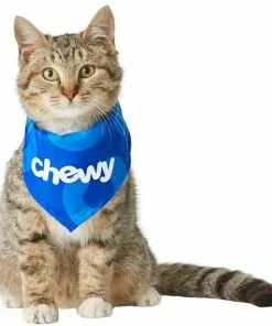 Frisco Chewy Dog & Cat Bandana -The Frisco Store 213165 PT3. SY630 V1582062851