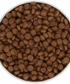 Frisco Heavy Duty Non-Skid Saucer Cat Bowl, Red Paw -The Frisco Store 213423 PT4. SY630 V1599240402