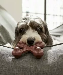 Frisco Bacon Flavor Tough Nylon Dog Chew Toy -The Frisco Store 213429 PT2. SY630 V1581715680