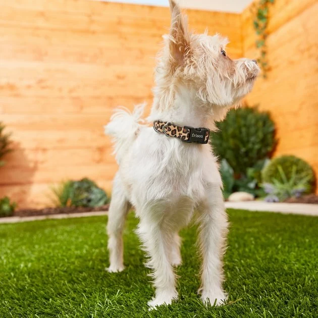 Frisco Leopard Print Polyester Dog Collar 6 Frisco Leopard Print Polyester Dog Collar - Image 4