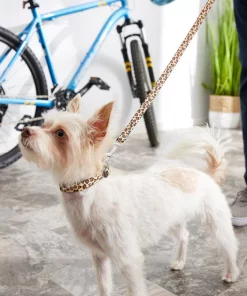 Frisco Leopard Print Polyester Dog Leash -The Frisco Store 213759 PT4. SY630 V1628029580