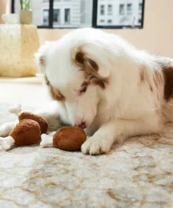 Frisco Hide & Seek Plush Chicken & Waffle Puzzle Dog Toy Refills, 3-Pack 7 Frisco Hide & Seek Plush Chicken & Waffle Puzzle Dog Toy Refills, 3-Pack -The Frisco Store 213800 PT8. SY630 V1600488419