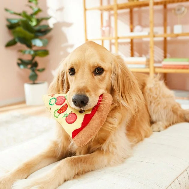 Frisco Plush Pizza Slice Dog Toy 5 Frisco Plush Pizza Slice Dog Toy - Image 3