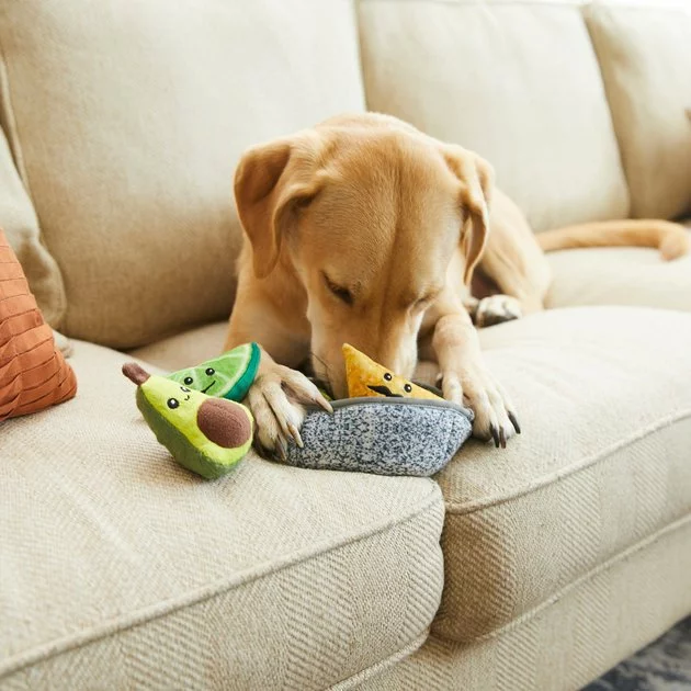 Frisco Hide & Seek Plush Guacamole Dog Toy 6 Frisco Hide & Seek Plush Guacamole Dog Toy - Image 4