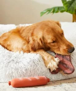 Frisco T-Bone Steak & Sausage Latex Dog Toy, 2-pack -The Frisco Store 213842 PT8. SY630 V1600488507