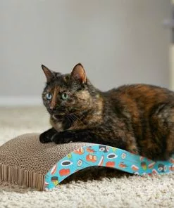 Frisco Sushi Delight Wave Cat Scratcher 9 Frisco Sushi Delight Wave Cat Scratcher -The Frisco Store 213908 PT8. SY630 V1600488470