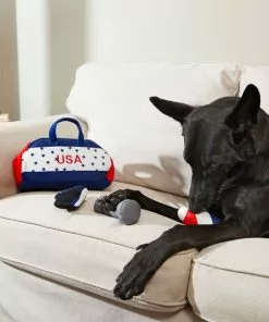 Frisco Hide-and-Seek USA Gym Bag Dog Toy -The Frisco Store 214078 PT6. SY630 V1597596406