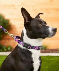 Frisco Patterned Polyester Martingale Dog Collar with Buckle -The Frisco Store 214410 PT5. SY630 V1583418502