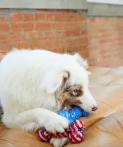 Frisco Americana TPR Bone Squeaky Dog Toy, 2 count -The Frisco Store 214651 PT6. SY630 V1597596450