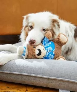 Frisco Summer Fun Plush Bear Squeaky Dog Toy -The Frisco Store 214659 PT6. SY630 V1597596384