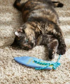 Frisco Summer Fun Surfboard Kicker Cat Toy -The Frisco Store 214667 PT6. SY630 V1597596418