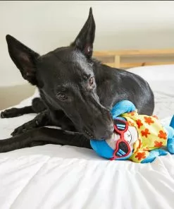 Frisco Summer Fun Plush Shark Dog Toy -The Frisco Store 214699 PT6. SY630 V1597596524