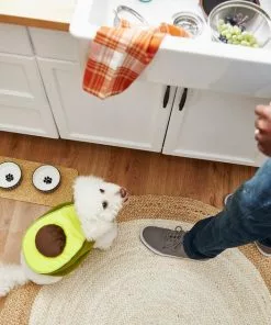 Frisco Avocado Dog & Cat Costume -The Frisco Store 215427 PT8. SY630 V1599141087