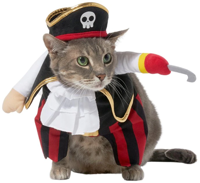 Frisco Front Walking Pirate Dog & Cat Costume 3 Frisco Front Walking Pirate Dog & Cat Costume