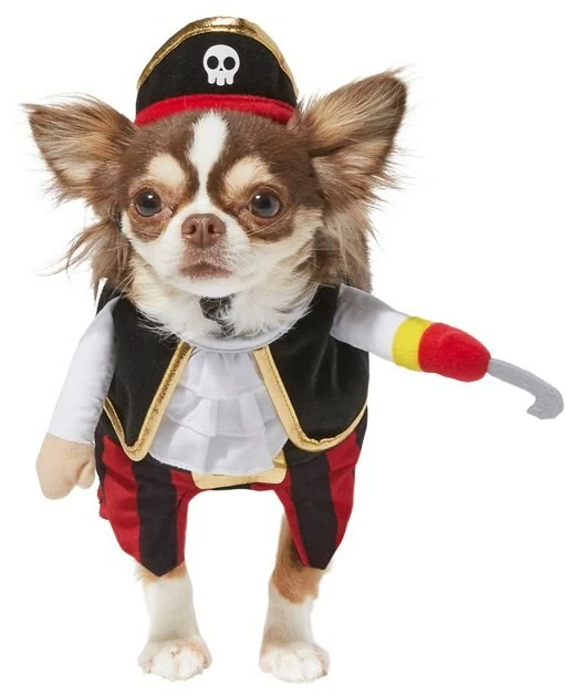 Frisco Front Walking Pirate Dog & Cat Costume 5 Frisco Front Walking Pirate Dog & Cat Costume - Image 3