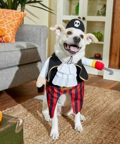 Frisco Front Walking Pirate Dog & Cat Costume 15 Frisco Front Walking Pirate Dog & Cat Costume -The Frisco Store 215477 PT8. SY630 V1599141371