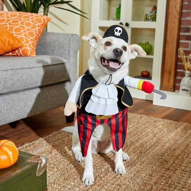 Frisco Front Walking Pirate Dog & Cat Costume 9 Frisco Front Walking Pirate Dog & Cat Costume - Image 7