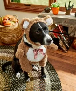 Frisco Front Walking Teddy Bear Dog & Cat Costume 19 Frisco Front Walking Teddy Bear Dog & Cat Costume -The Frisco Store 215500 PT8. SY630 V1599140159
