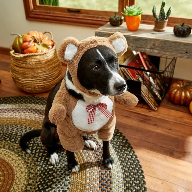 Frisco Front Walking Teddy Bear Dog & Cat Costume 11 Frisco Front Walking Teddy Bear Dog & Cat Costume - Image 9